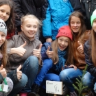 Święto Drzewa